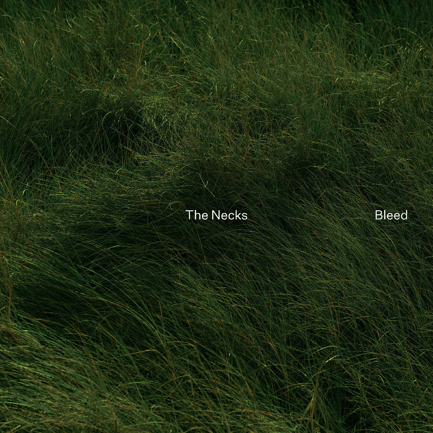 The Necks - Bleed (Green Vinyl)