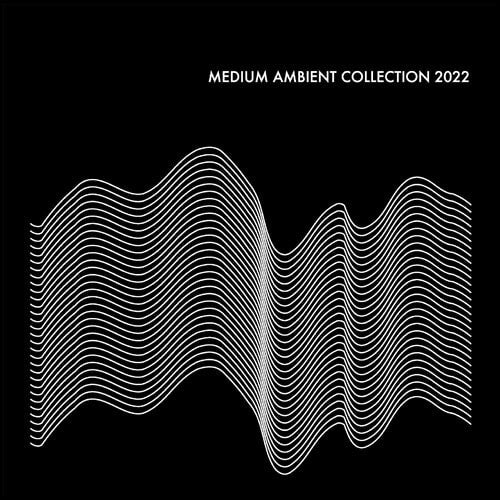 V/A - MEDIUM AMBIENT COLLECTION 2022 BLACK (2LP) (New Vinyl)
