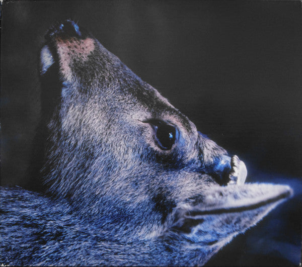 toe – The Book About My Idle Plot On A Vague Anxiety (New Vinyl